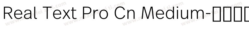 Real Text Pro Cn Medium字体转换